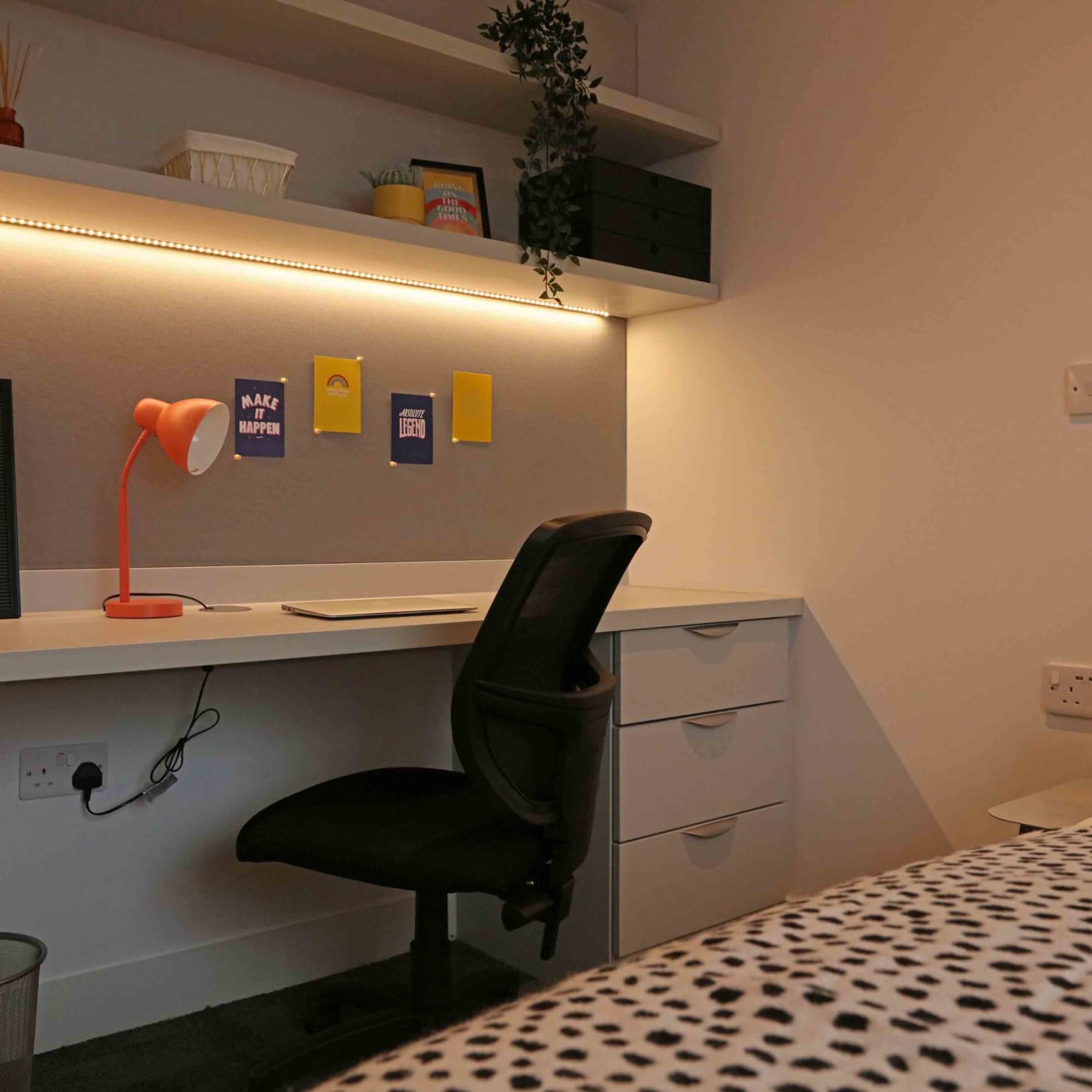 Swansea Student Rooms Flats & Apartments true