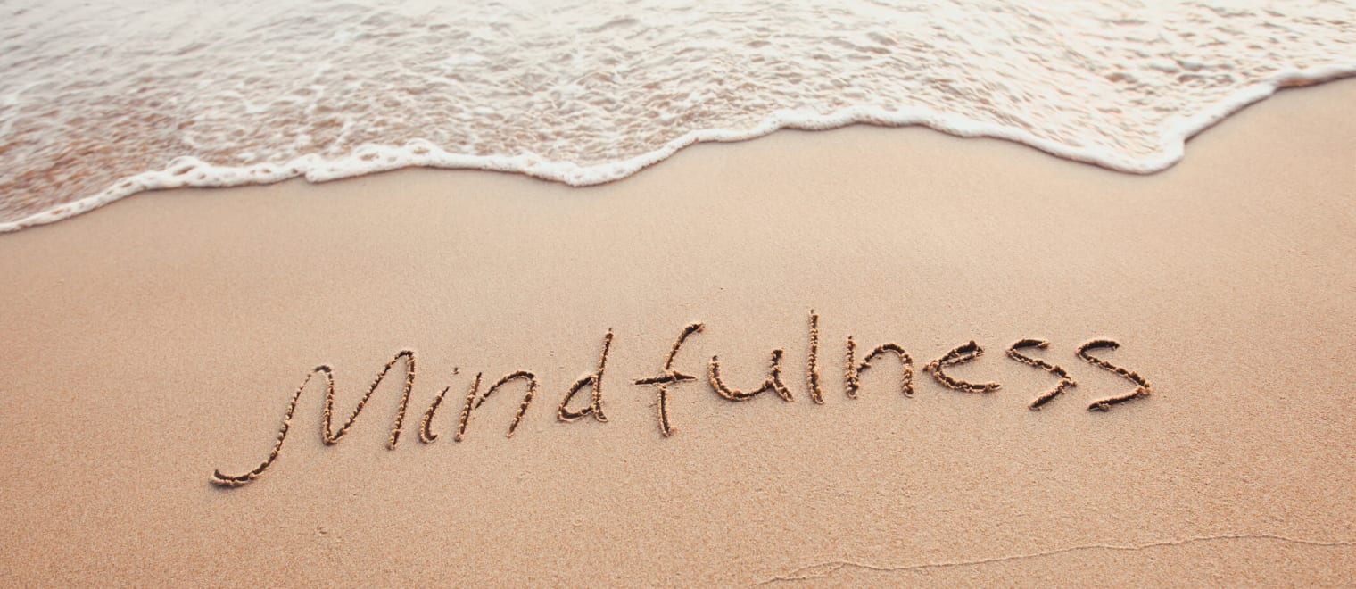 The Beginner's Guide to Practicing Mindfulness