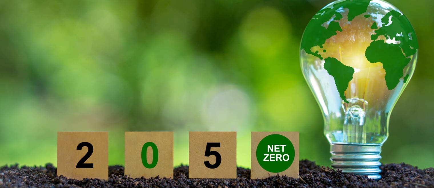 Five steps for turning net zero ambitions into deliverable projects