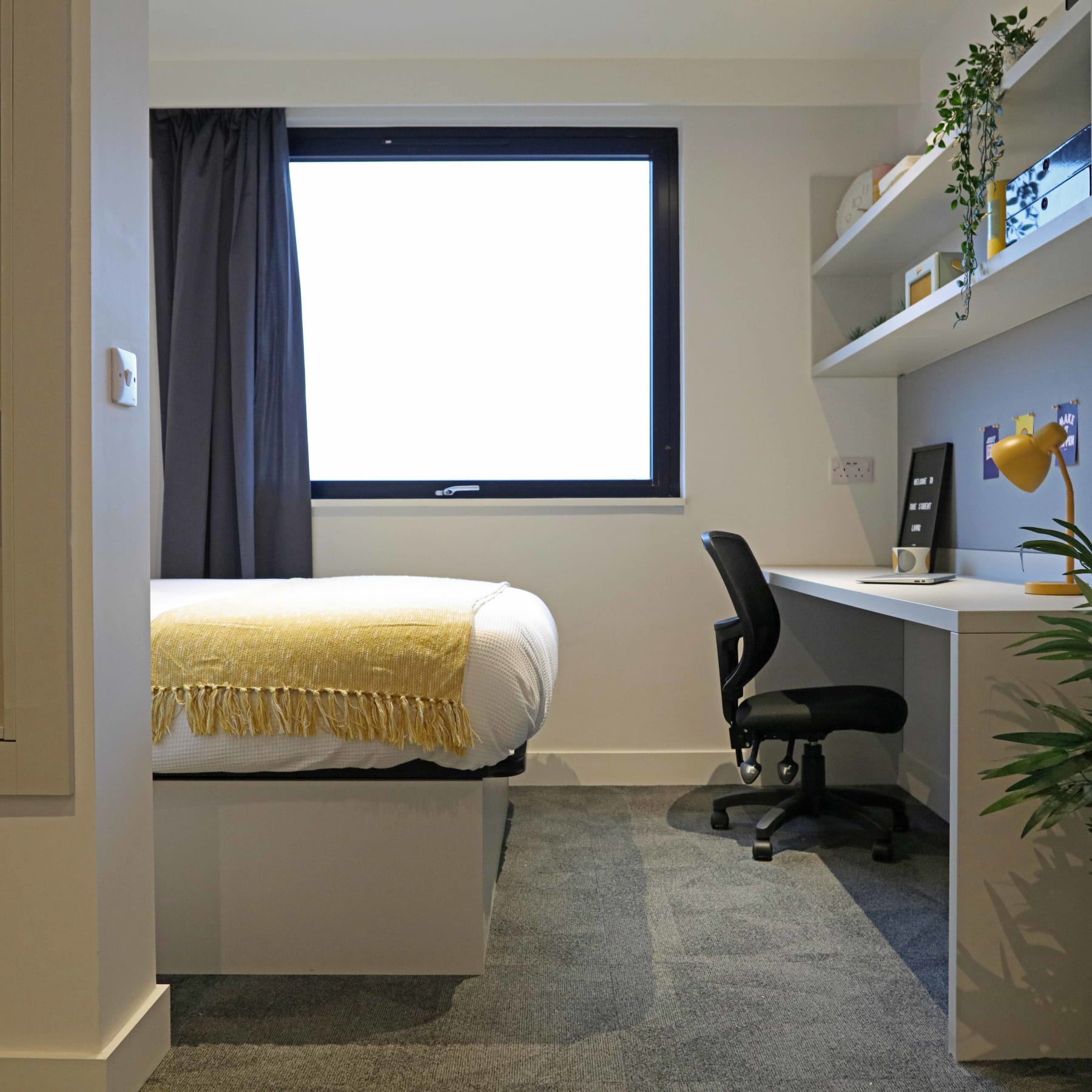 Manchester, Salford Student true