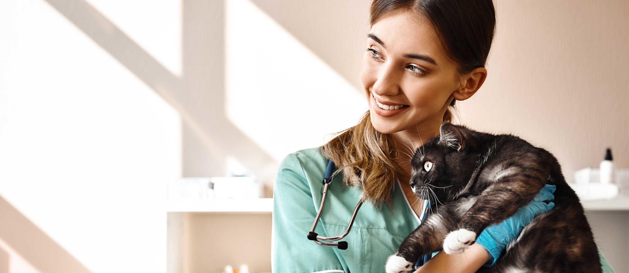 CPD for Vets and Veterinary Nurses The CPD Certification Service