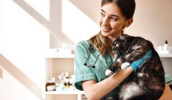 CPD for Vets and Veterinary Nurses