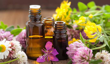 What do you learn on an online aromatherapy course?