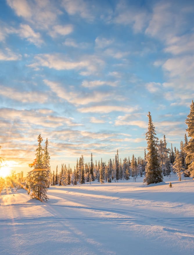 Dusk in snowy Lapland