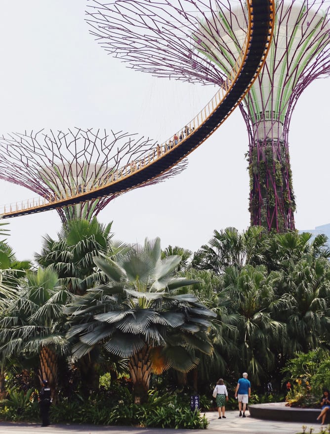 Gardens by the bay, Singapore
