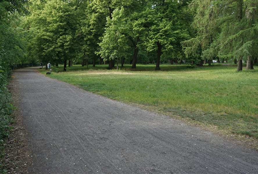 Quiet park with path, grass and trees
