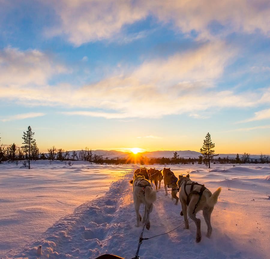 Tour Operators | Leeds Bradford Airport