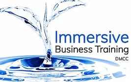 Immersive Business Training DMCC