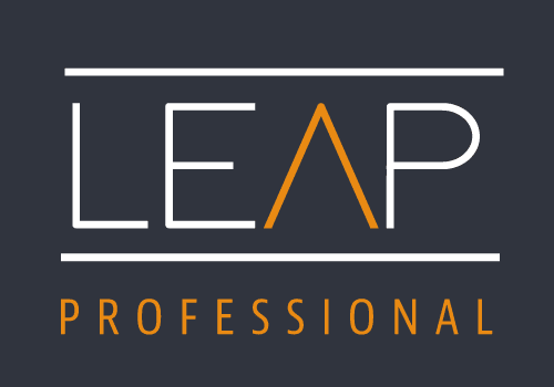 Leap Professional (Kaboodle Leadership)