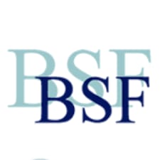 BSF Solid Surfaces