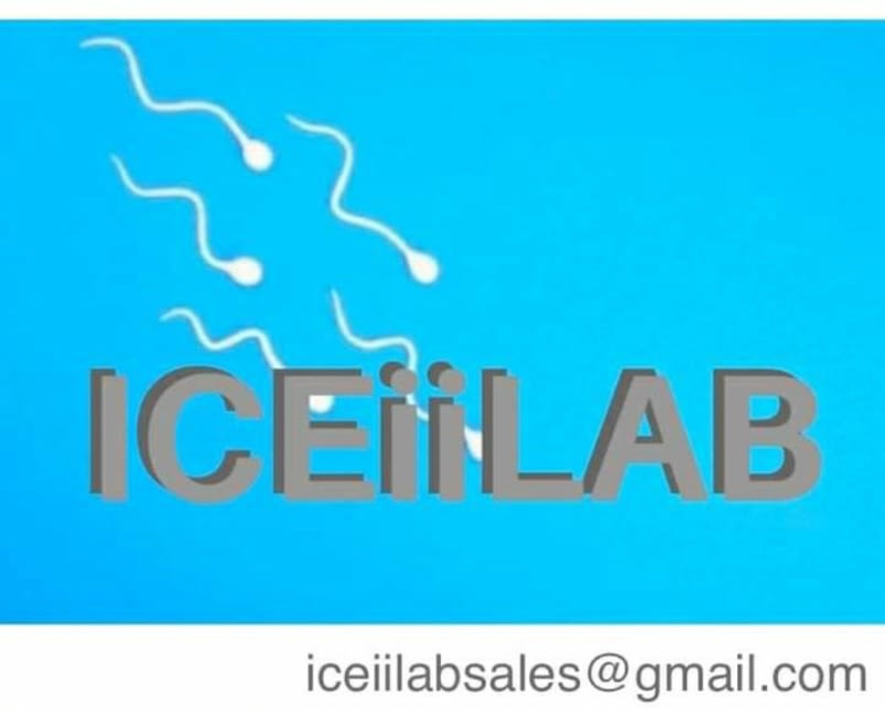 ICEiiLAB