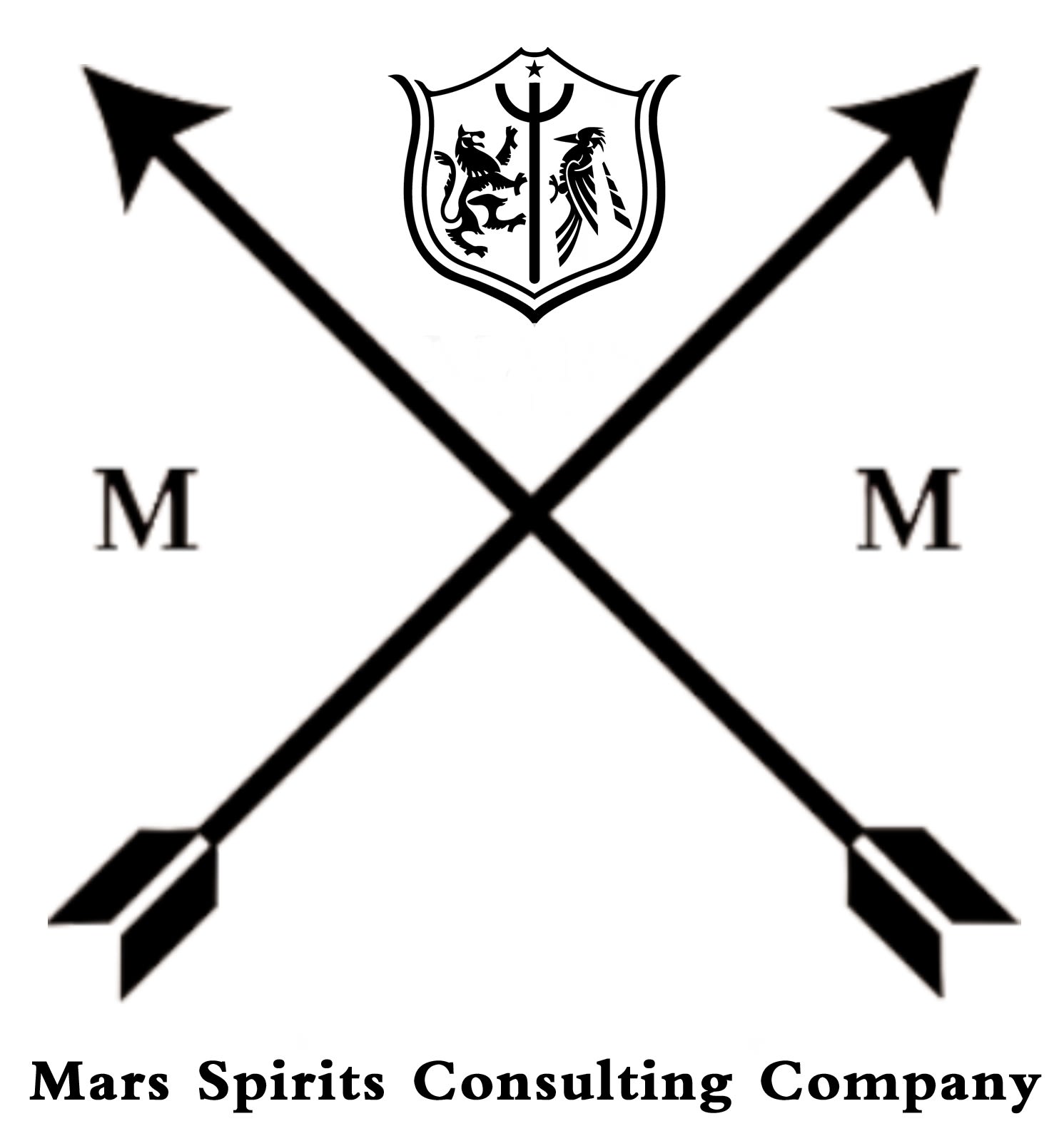 Mars Spirits Consulting