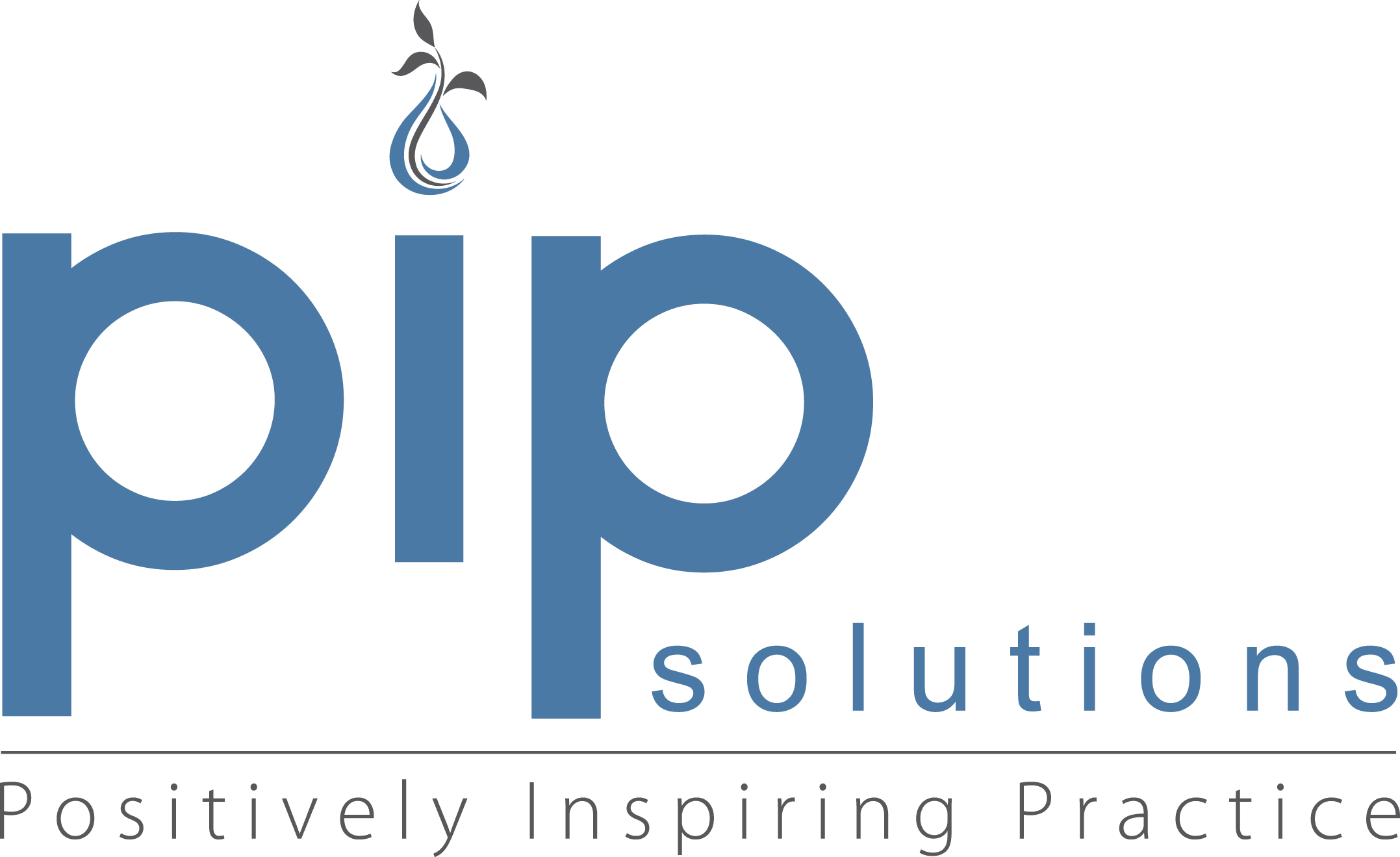 PIP Solutions