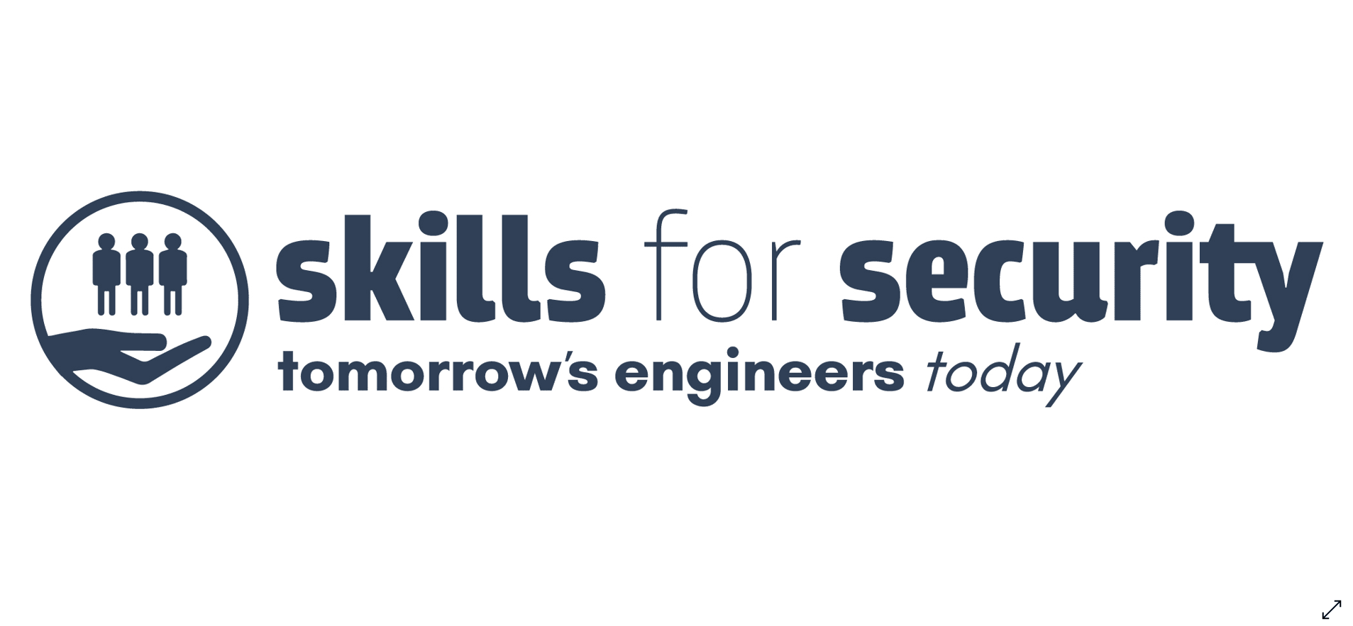 Skills for Security