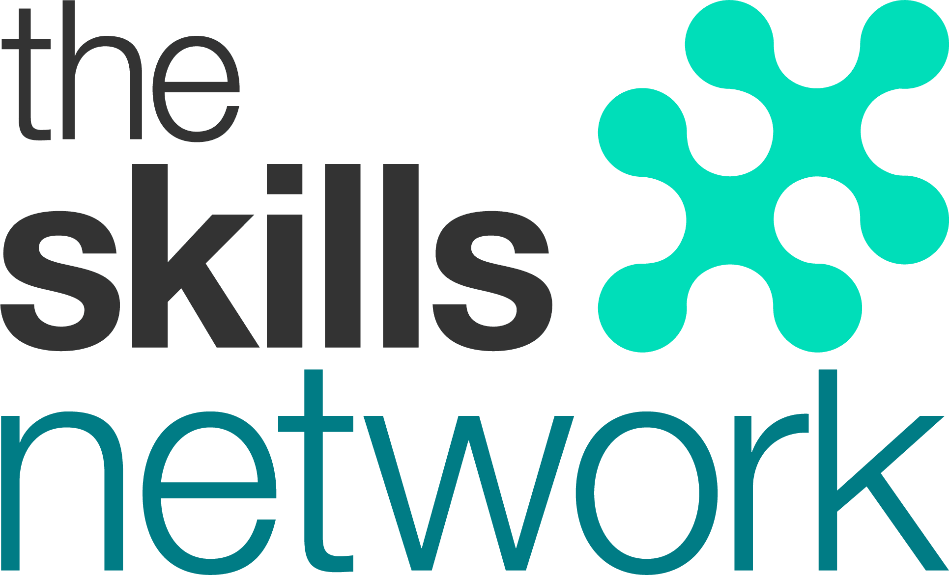 The Skills Network