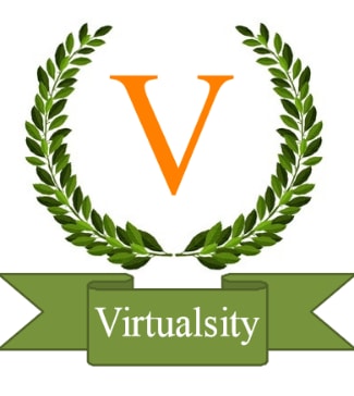 Virtualsity Academy