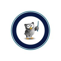 Wise Owl Business Solutions