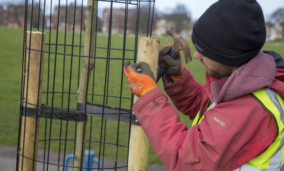 A man in a black hat fixing a tree post with a hammer and nails in a field