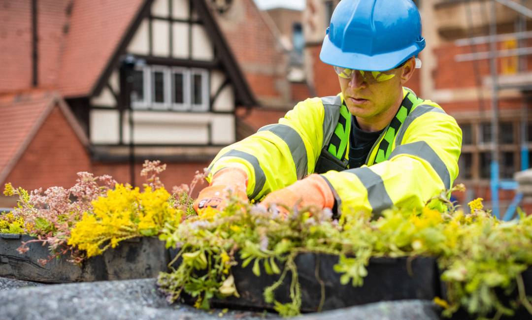 A person wearing a safety vest and hard hat planting.