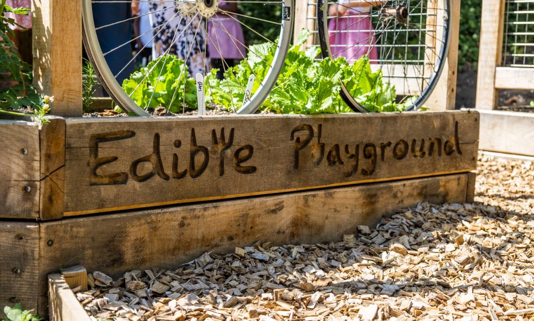 Plant pot with carved words Edible Playground