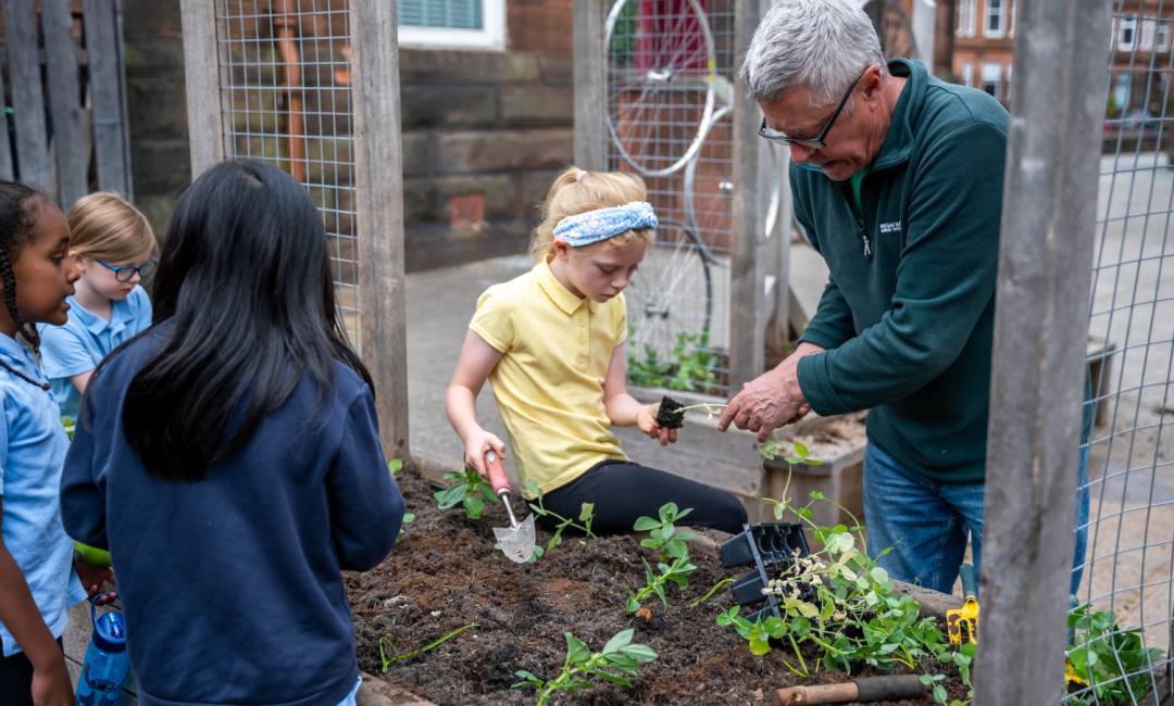 Children learning while engaging with Edible Playgrounds, alongside their instructor, during the day at a primary school in Glasgow