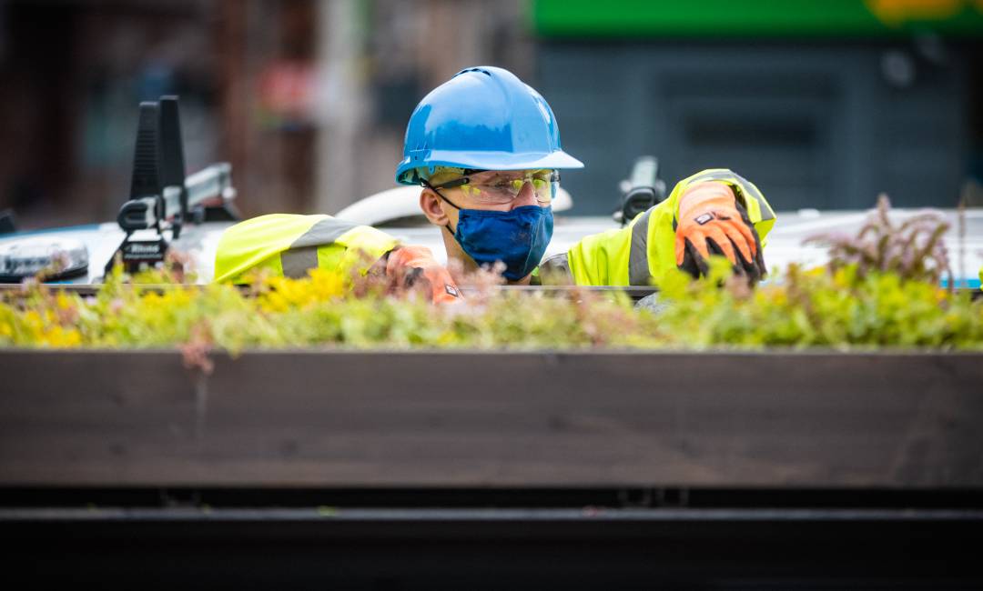 A person wearing a face mask and gloves installing the plants on the living roof.