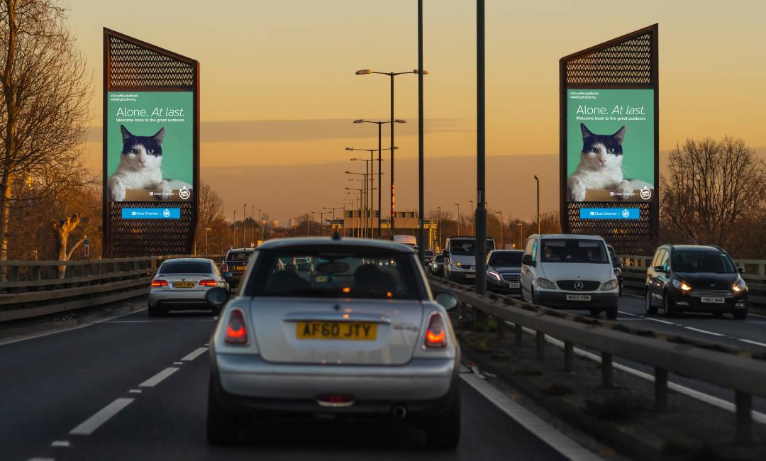 Storm screens on a busy road showing a Cat for Clear Channel's One Minute Briefs Campaign