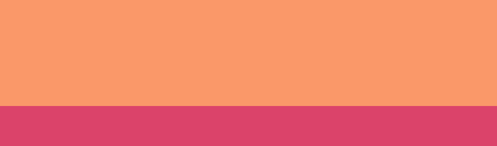 graphic header with large orange and smaller pink horizontal stripe