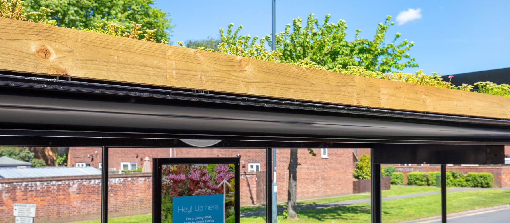 Close up of Clear Channel Bus stop showing Living Roof