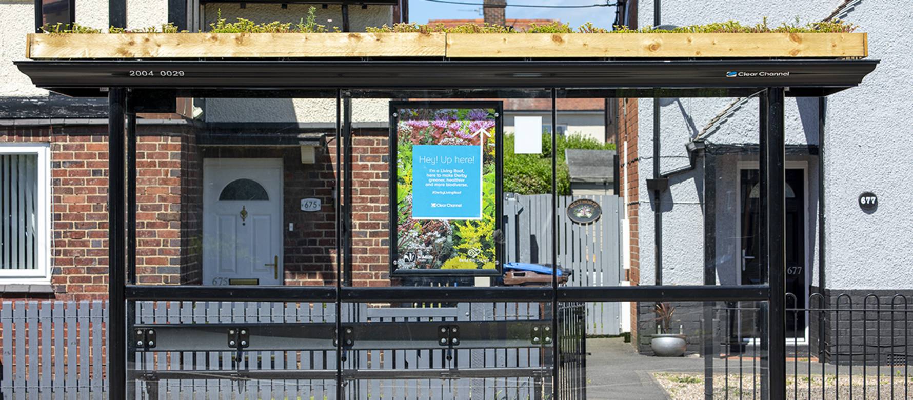 Photo of a Clear Channel Living Roof in Derby on a hot summers day