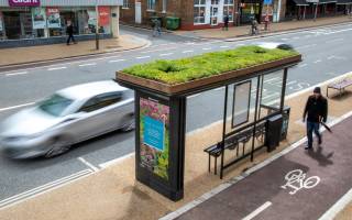 A living roof bus shelter with cars passing by.