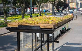 A living roof bus shelter, with green plants.