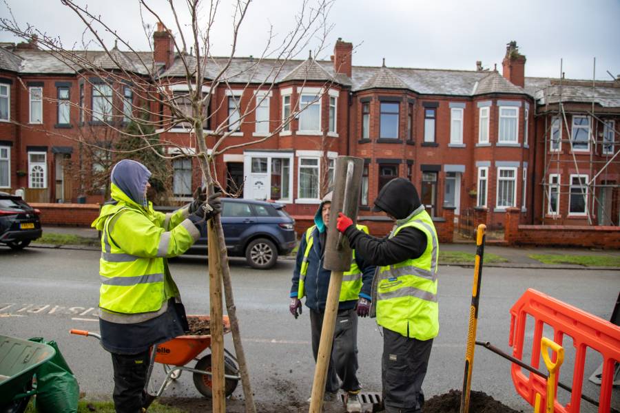 Photo of three people planting a tree in Salford funded by Clear Channel