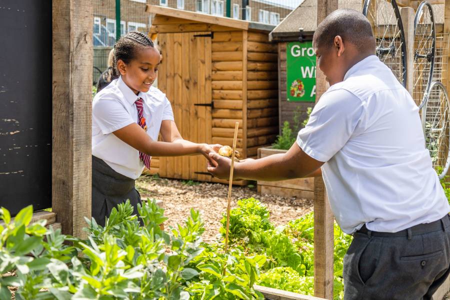 School children passing potatoes to one another