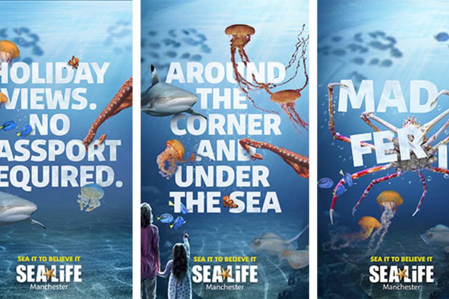 Three Sea Life campaigns. First one says holiday views. No passport required. Second one says around the corner and under the sea. And the last one says Mad Fer It