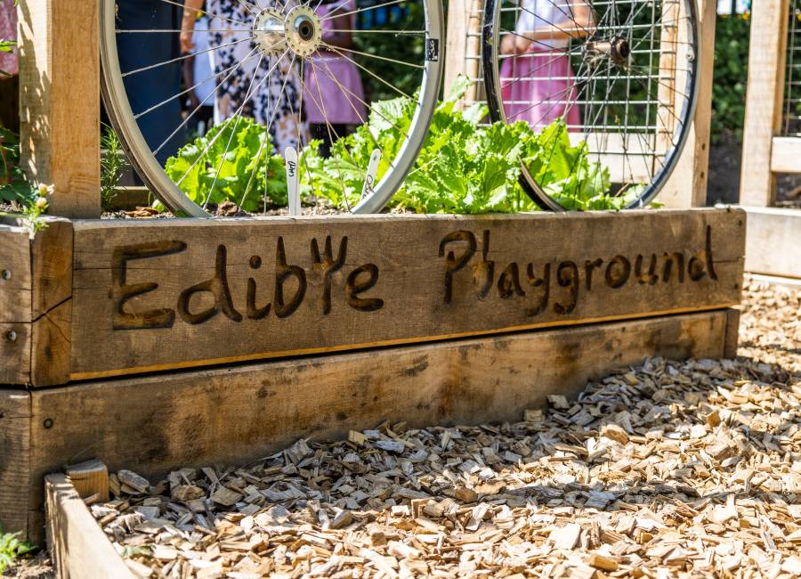A Edible Playground inside Welbourne primary.
