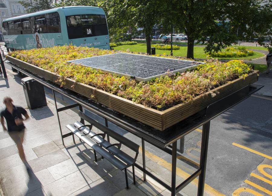 A bus shelter in Brighton with a living roof and a solar panel