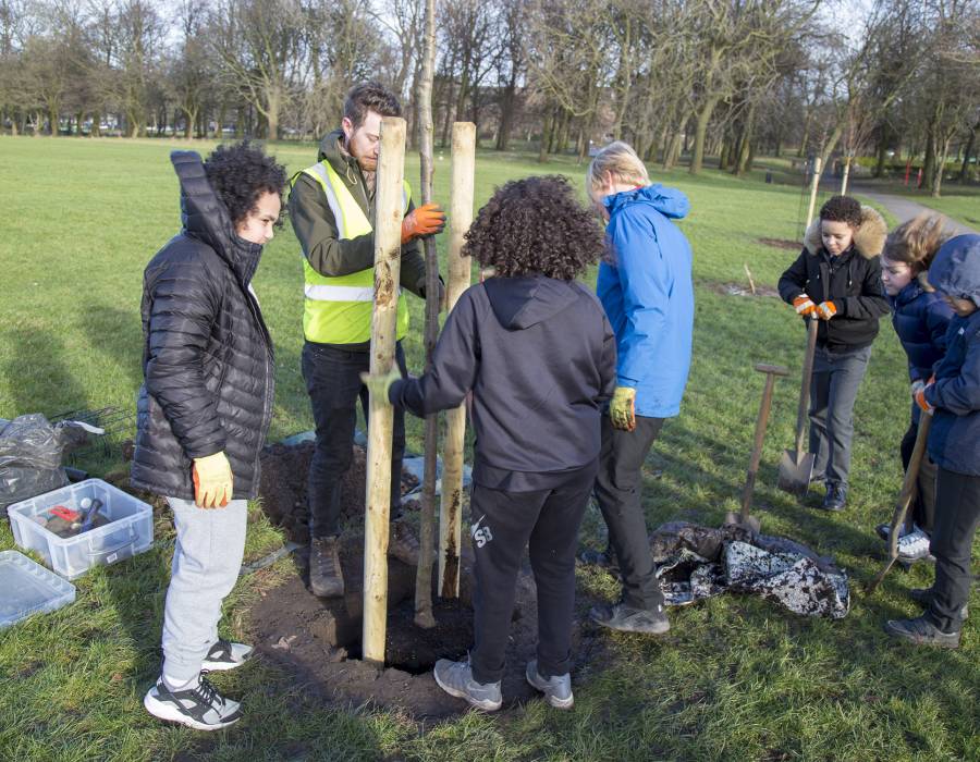 Volunteers planting trees in a park