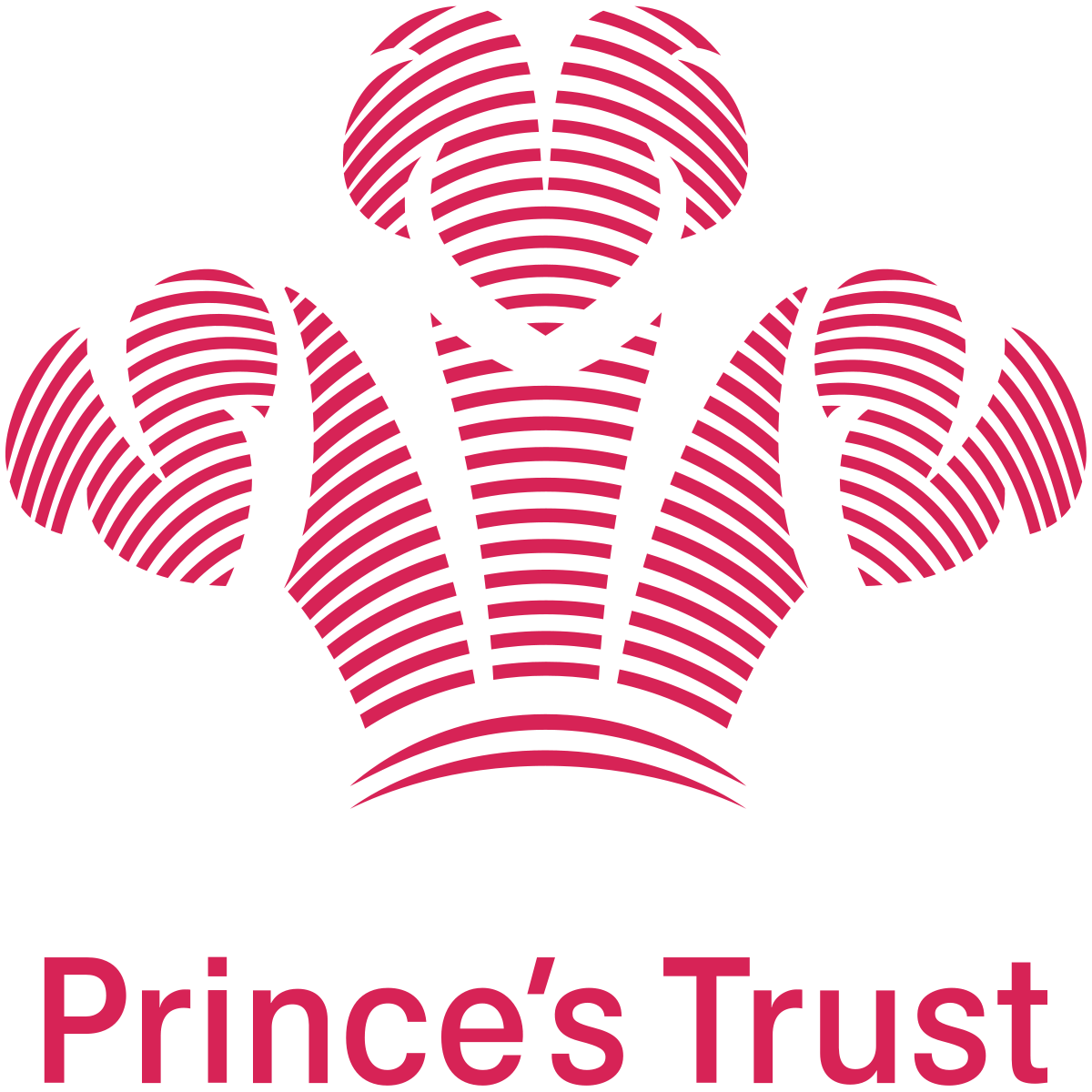 The princes trust logo.