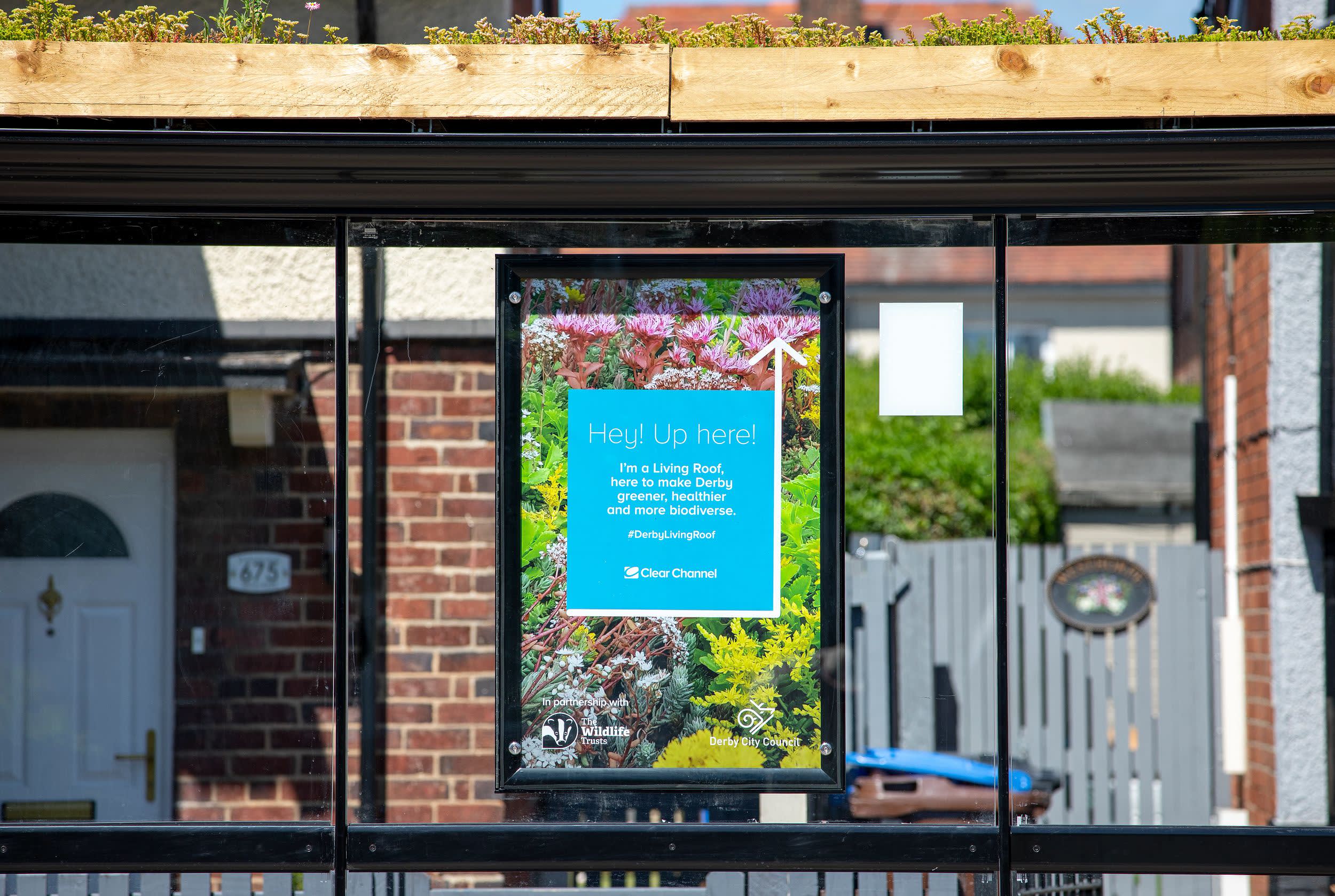 Derby Living Roof Bus Stop