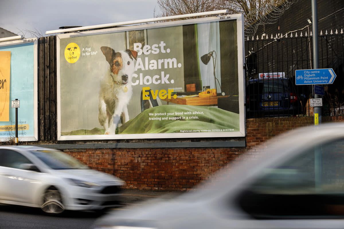 Dogs Trust Roadside Billboard Ad