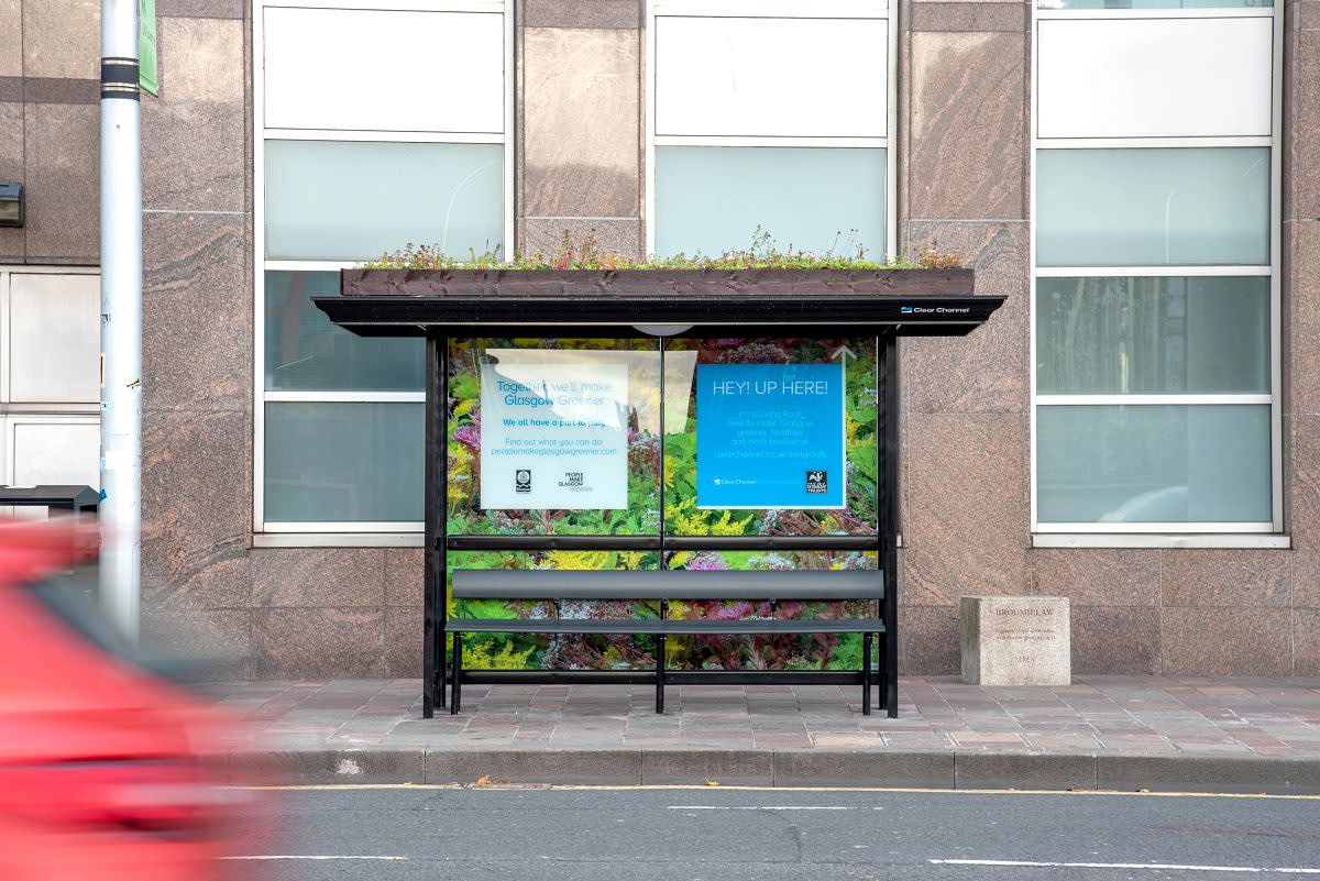 Living Roof Bus Shelter Glasgow