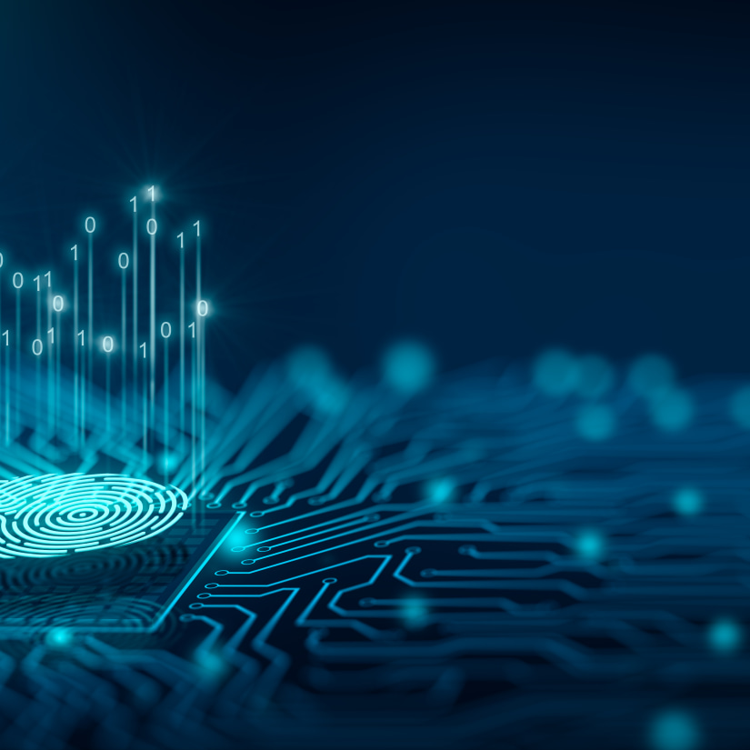 electronic verification concept, fingerprint, cyber security, identity