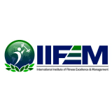 IIFEM