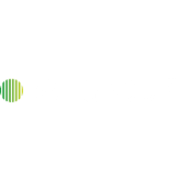 RVT Group