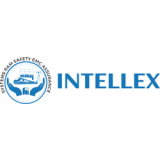 Intellex Consulting Services (UK)