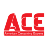 American Consulting Experts