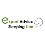 Expert Advice / Sleeping Lion