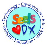 Seels Teachers Academy