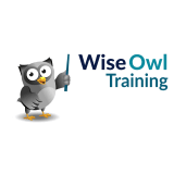 Wise Owl Business Solutions